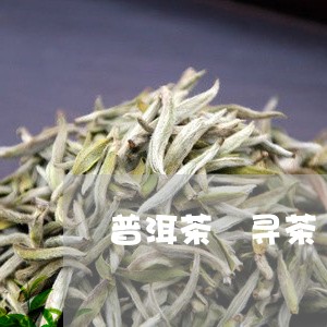 普洱茶 寻茶/2023042880170